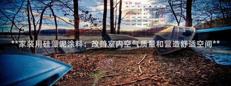 和记paging：**家装用硅藻泥涂料：改善室内空气质量和营造舒适空间**