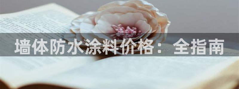 青岛大生和记餐饮管理有限公司：墙体防水涂料价格：全指南