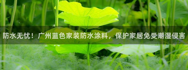 和记ag：防水无忧！广州蓝色家装防水涂料，保护家居免受潮湿侵害