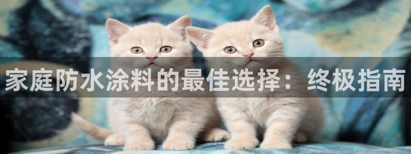 和记ag旗舰厅：家庭防水涂料的最佳选择：终极指南