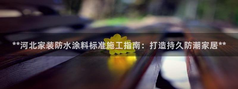 上海和记餐饮：**河北家装防水涂料标准施工指南：打造持久防潮家居**