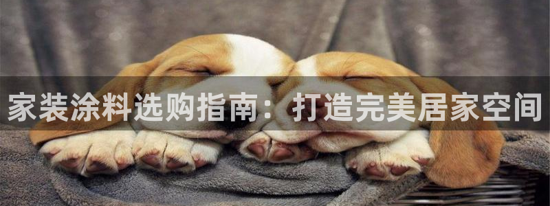 和记ag登录