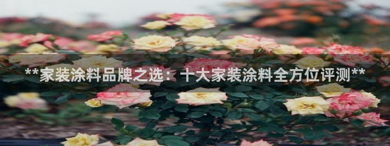 和记国际客服：**家装涂料品牌之选：十大家装涂料全方位评测**