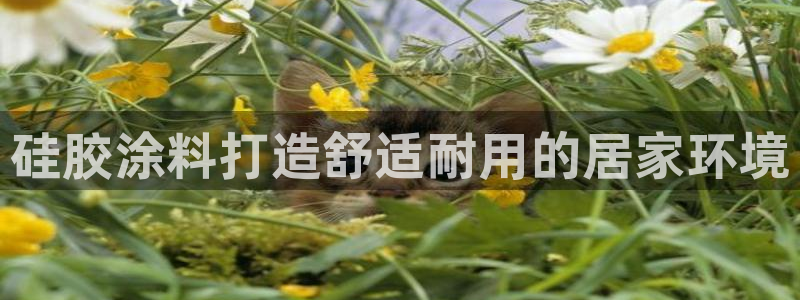 官方和记国际平台登录：硅胶涂料打造舒适耐用的居家环境
