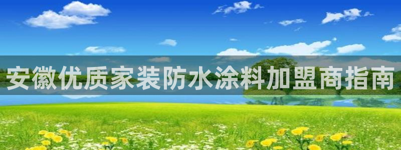 江苏和记数码科技有限公司：安徽优质家装防水涂料加盟商指南