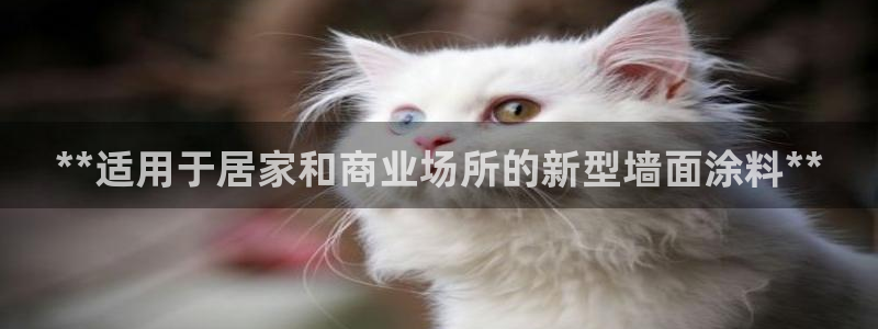 和记国际：**适用于居家和商业场所的新型墙面涂料**