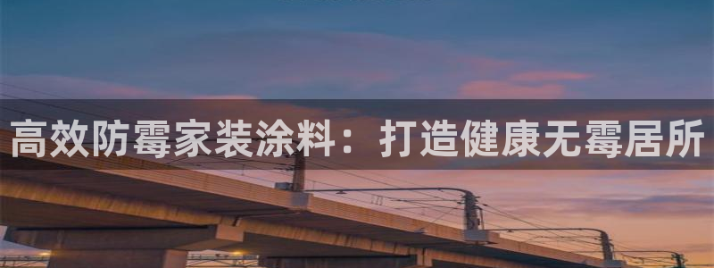 官方和记国际平台登录：高效防霉家装涂料：打造健康无霉居所