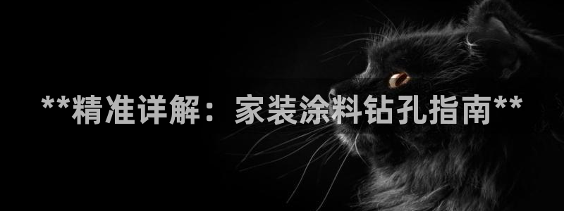 和记国际听：**精准详解：家装涂料钻孔指南**