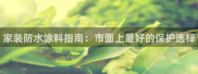 和记平台注册：家装防水涂料指南：市面上最好的保护选择