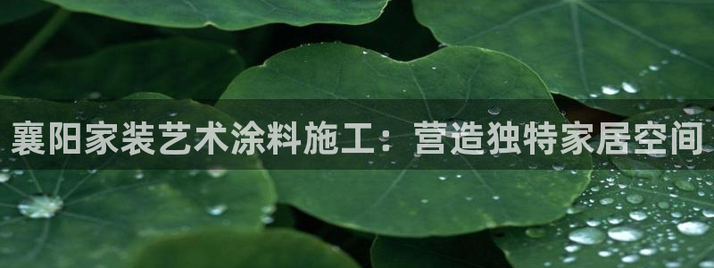 和记ag旗舰厅app：襄阳家装艺术涂料施工：营造独特家居空间