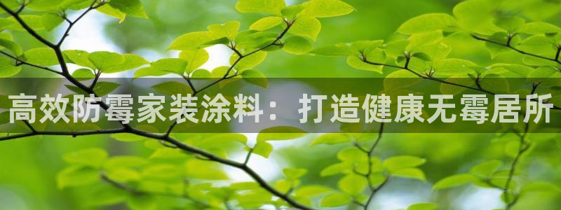 上海和记餐饮有限公司