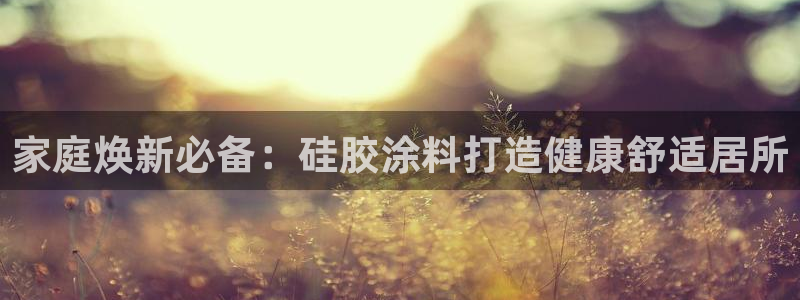 和记港口：家庭焕新必备：硅胶涂料打造健康舒适居所