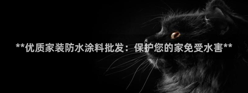 和记2017app：**优质家装防水涂料批发：保护您的家免受水害**