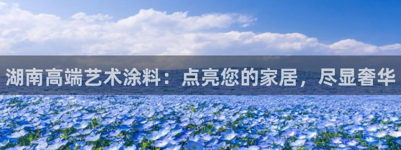 和记AG网站：湖南高端艺术涂料：点亮您的家居，尽显奢华