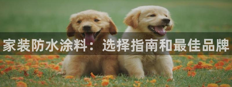 上海和记餐饮：家装防水涂料：选择指南和最佳品牌