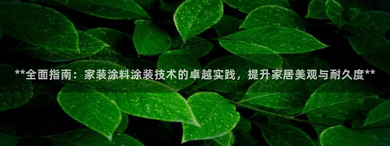 和记 官网：**全面指南：家装涂料涂装技术的卓越实践，提升家居美观与耐久度**