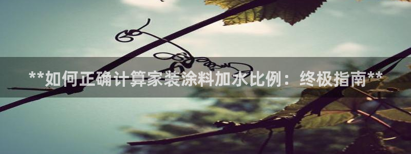 和记官网登录：**如何正确计算家装涂料加水比例：终极指南**