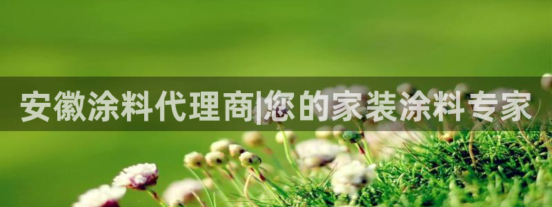 ag和记app：安徽涂料代理商|您的家装涂料专家