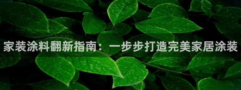 和记hj：家装涂料翻新指南：一步步打造完美家居涂装