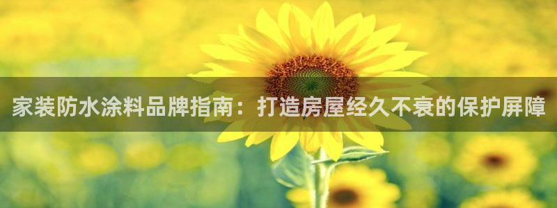 和记ag