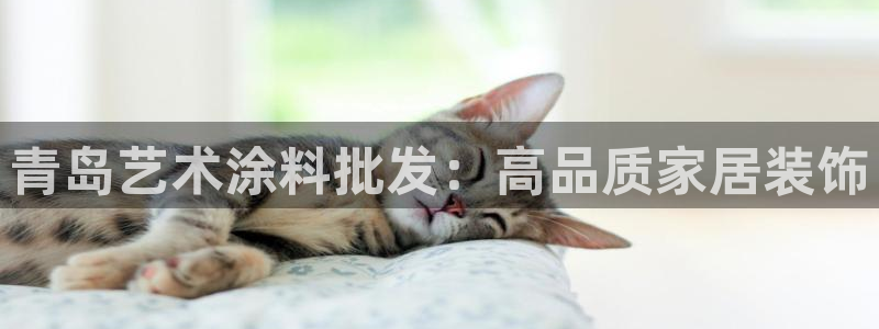 和记h88游戏：青岛艺术涂料批发：高品质家居装饰