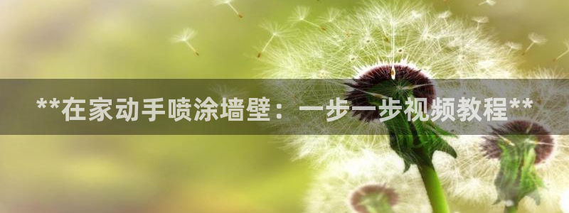 和记官网[中国]官方网站：**在家动手喷涂墙壁：一步一步视频教程**