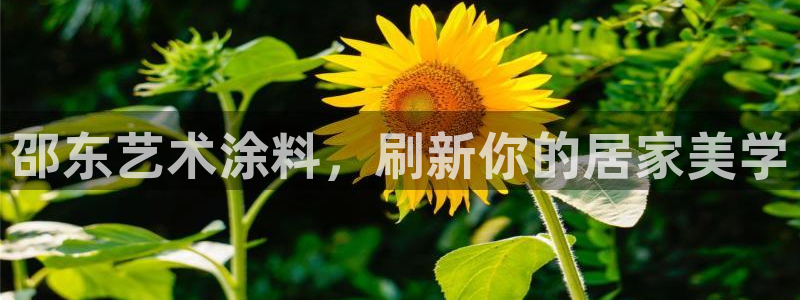 和记AG旗舰：邵东艺术涂料，刷新你的居家美学