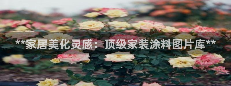 和记网页版登陆