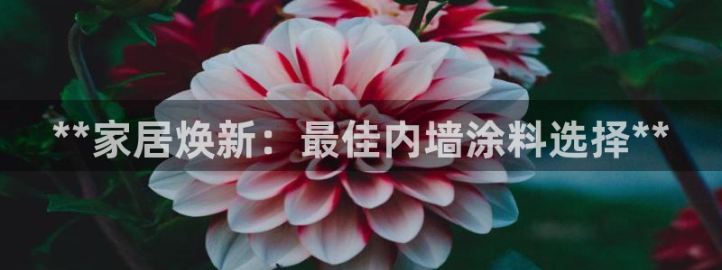 和记5g电讯