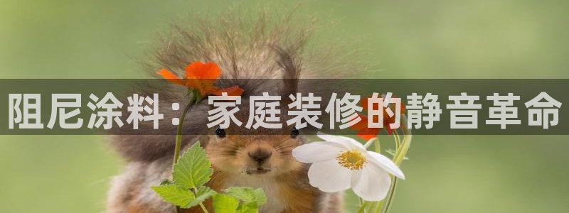 和记电业集团：阻尼涂料：家庭装修的静音革命