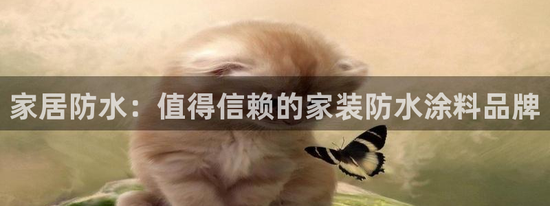 和记平台登录：家居防水：值得信赖的家装防水涂料品牌