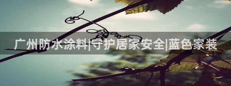 和记官网：广州防水涂料|守护居家安全|蓝色家装