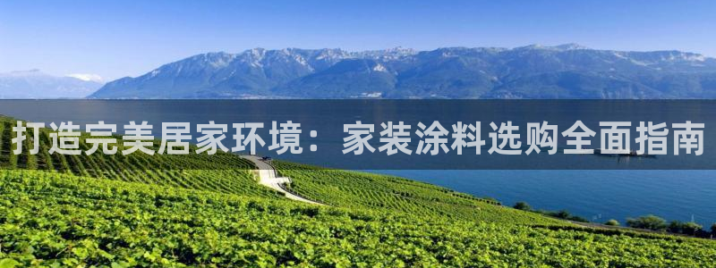 和记国际开户：打造完美居家环境：家装涂料选购全面指南