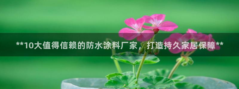 和记平台怎么样