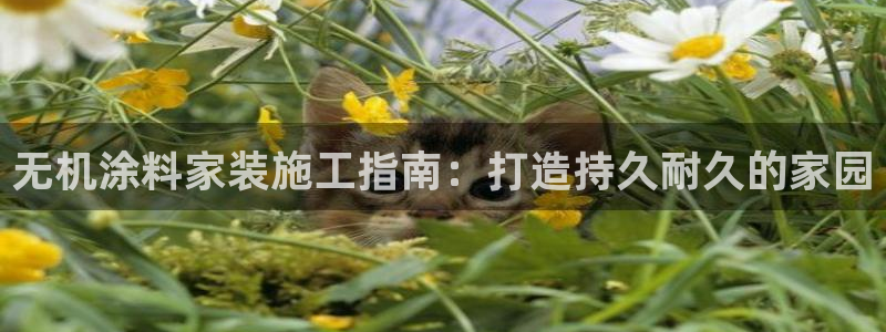 和记官方直营：无机涂料家装施工指南：打造持久耐久的家园