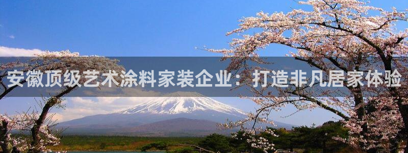 和记ag旗舰厅：安徽顶级艺术涂料家装企业：打造非凡居家体验