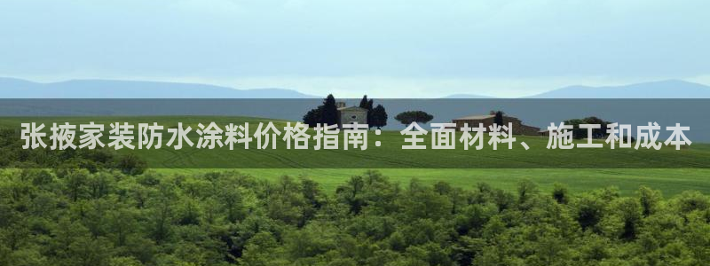 和记官网：张掖家装防水涂料价格指南：全面材料、施工和成本