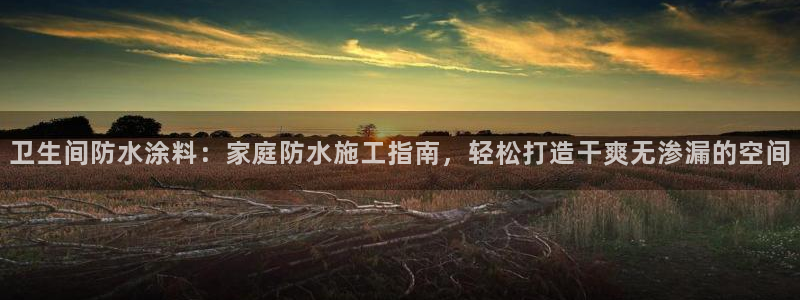 江苏和记数码科技有限公司：卫生间防水涂料：家庭防水施工指南，轻松打造干爽无渗漏的空间