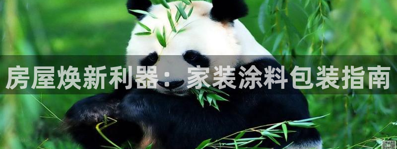 和记 中国首页：房屋焕新利器：家装涂料包装指南