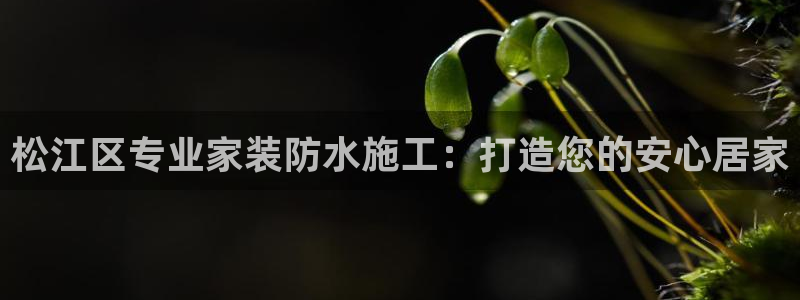 和记官网首页：松江区专业家装防水施工：打造您的安心居家