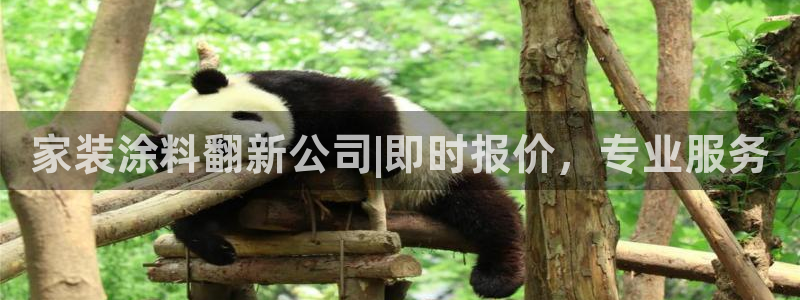 和记平台登录：家装涂料翻新公司|即时报价，专业服务