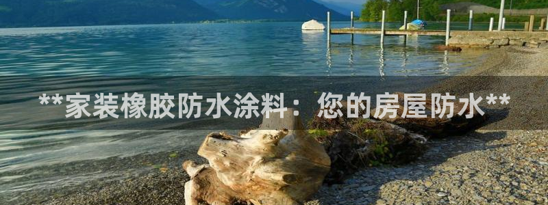 上海和记餐饮有限公司：**家装橡胶防水涂料：您的房屋防水**
