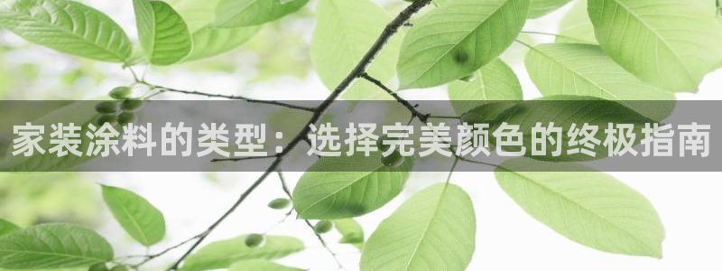 和记 首页：家装涂料的类型：选择完美颜色的终极指南