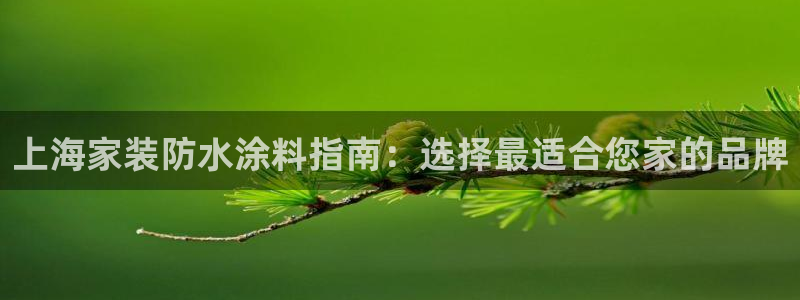 和记平台怎么样：上海家装防水涂料指南：选择最适合您家的品牌