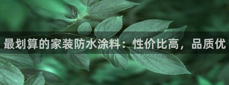 和记ag旗舰厅：最划算的家装防水涂料：性价比高，品质优