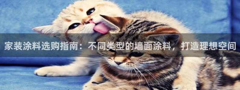 和记ag旗舰：家装涂料选购指南：不同类型的墙面涂料，打造理想空间