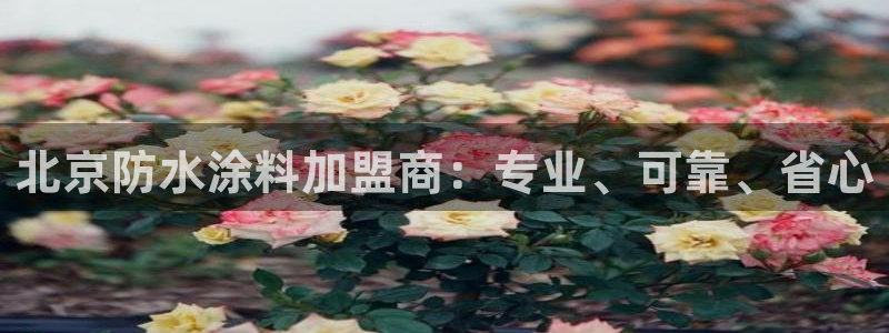 和记平台官方网