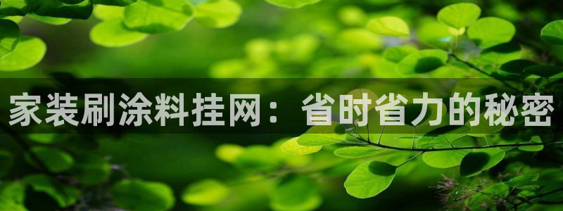 和记ag登录：家装刷涂料挂网：省时省力的秘密