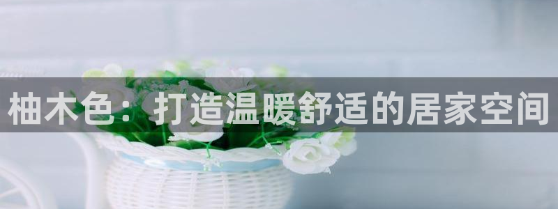 和记国际：柚木色：打造温暖舒适的居家空间