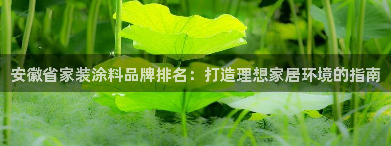 和记平台怎么样：安徽省家装涂料品牌排名：打造理想家居环境的指南